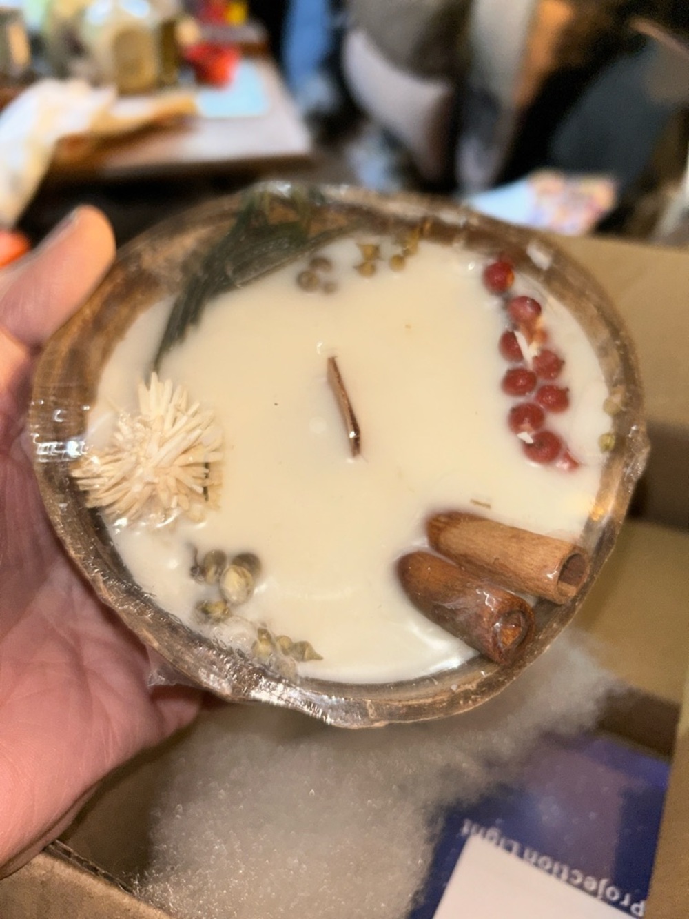 Handmade Botanical Coconut Shell Candle - Cream Wax with Natural Accents
